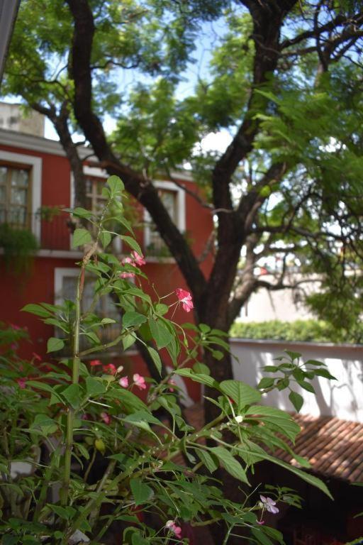 Hotel Ana Catalina&Suites San Miguel de Allende Esterno foto